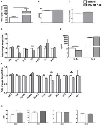 Modulatory Effects of Echinococcus multilocularis emu-let-7-5p on the Immunological Functions of RAW264.7 Macrophages